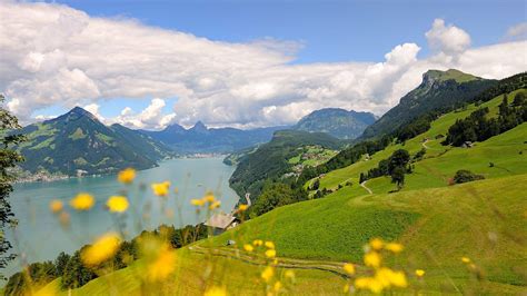 Seeblick .